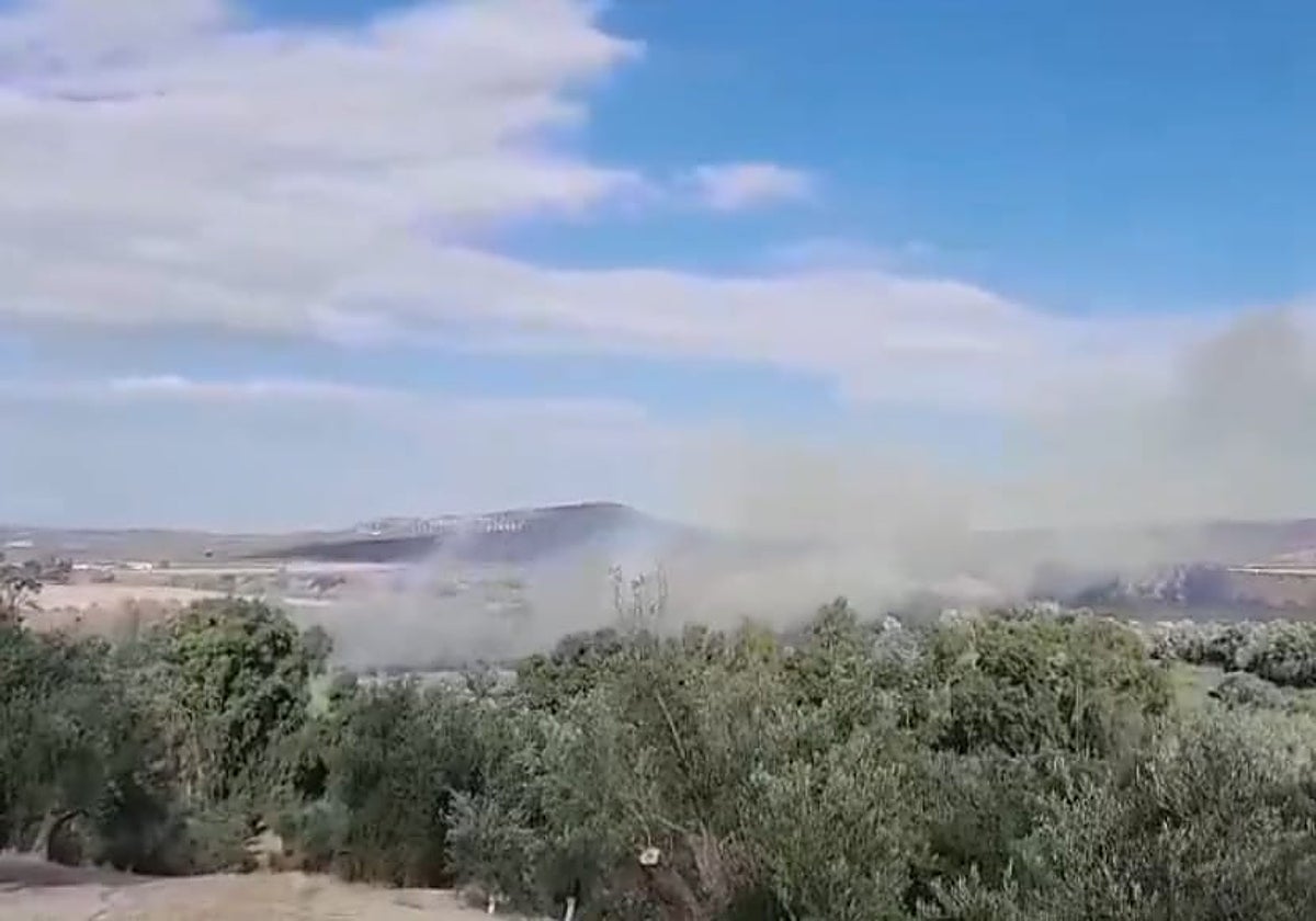 Incendio paraje San Miguel en Úbeda