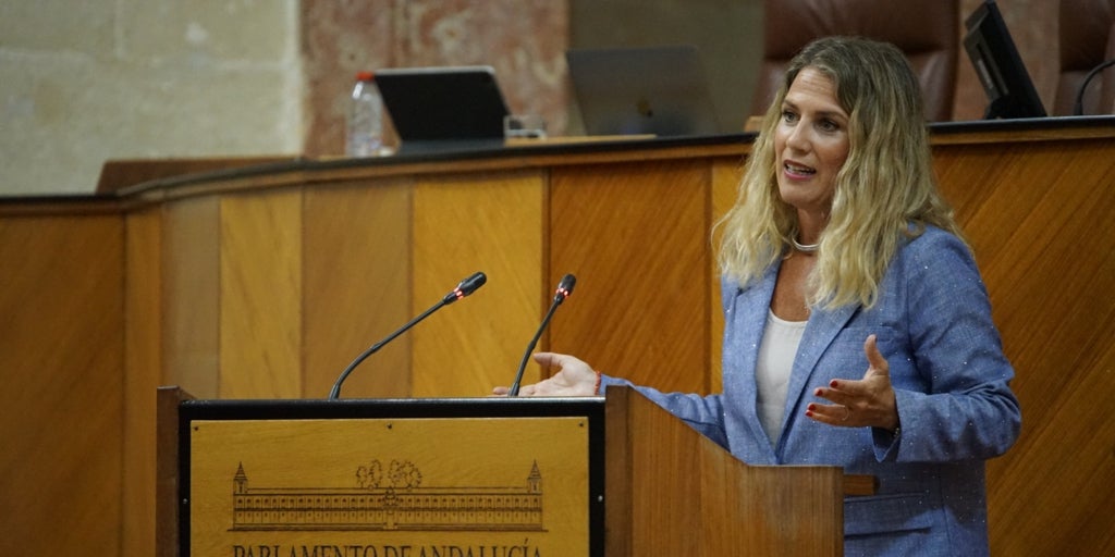 El PSOE suscribe las cesiones a los independentistas catalanes en el Parlamento andaluz