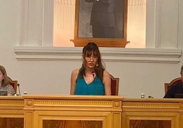 Los guías de los freetours y otras visitas culturales denuncian que Velázquez «quiere expulsarnos de Zocodover»