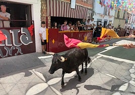 Las mejores imágenes de los encierros de El Viso por Santa Ana