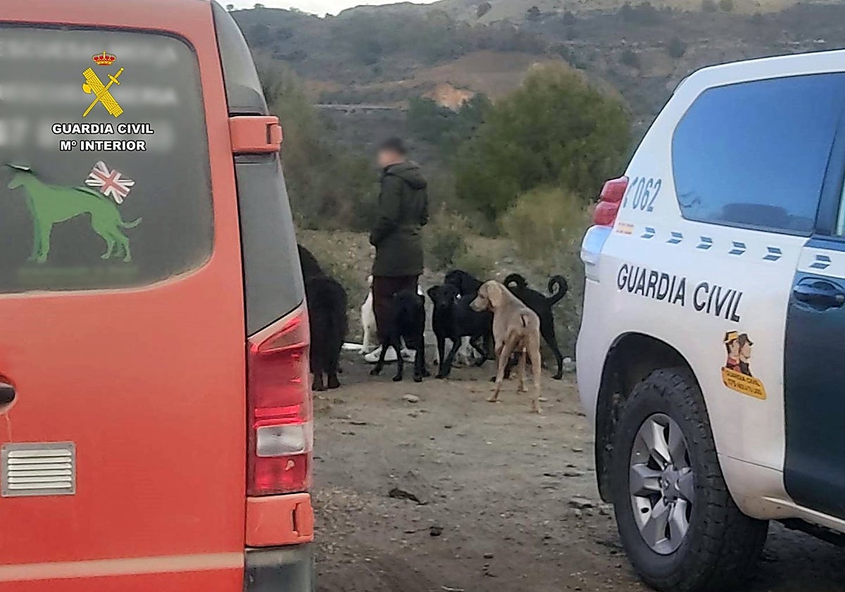 Los agentes de la Guardia Civil en el marco de la operación