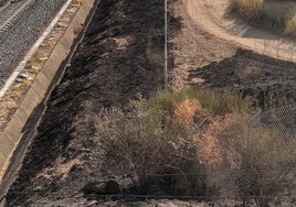 Recuperan la circulación tras un incendio que ha afectado a la conexión de AVE entre Andalucía y Madrid