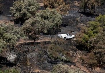 Susto en la Albaida: una gran llamarada de humo en la zona del último incendio desata todas alarmas