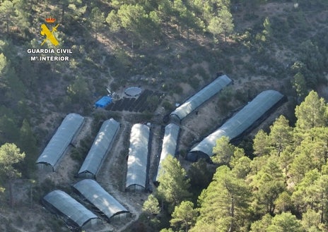 Imagen secundaria 1 - El paraje donde se ha localizado la macroplantación