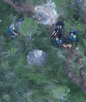 Imagen secundaria 2 - El paraje donde se ha localizado la macroplantación