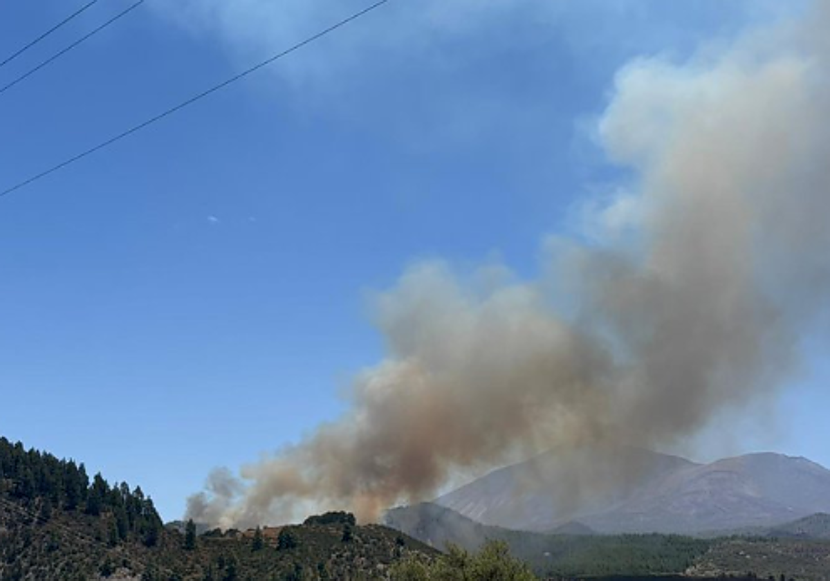 El incendio forestal en Tenerife está estabilizado y tiene por delante una noche crucial