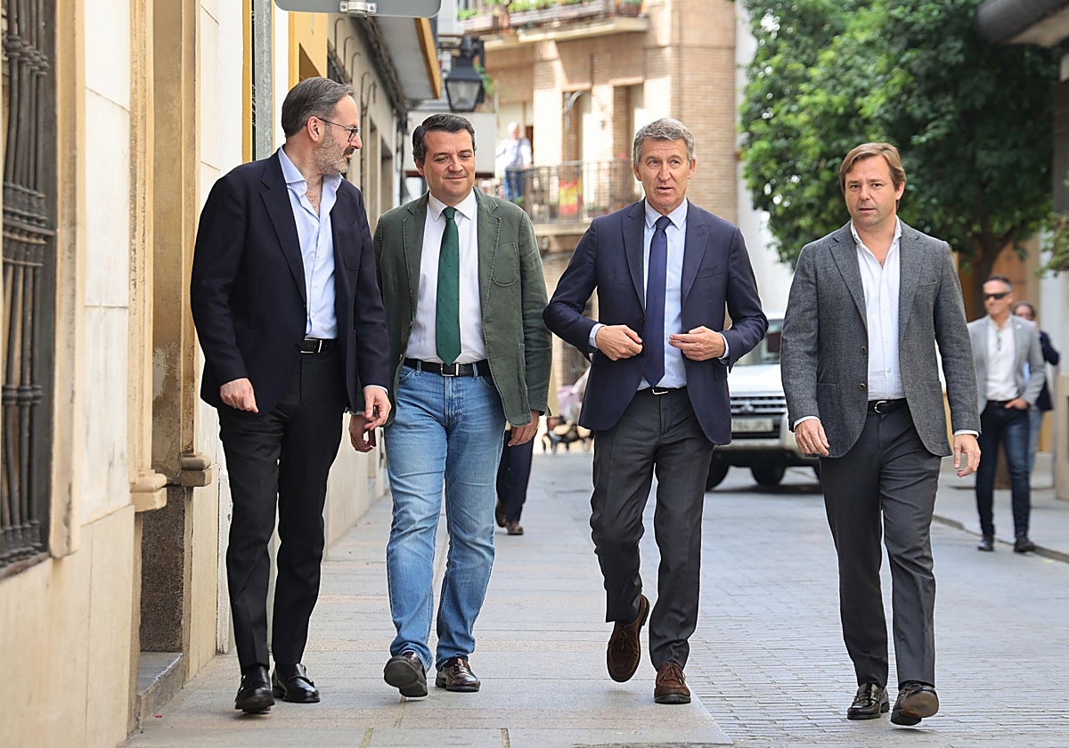 José María Bellido y Alberto Núñez Feijóo, con Adolfo Molina y Antonio Repullo, en Córdoba
