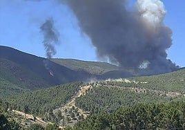 Extremadura solicita la activación de la UME por el incendio en Caminomorisco, Cáceres