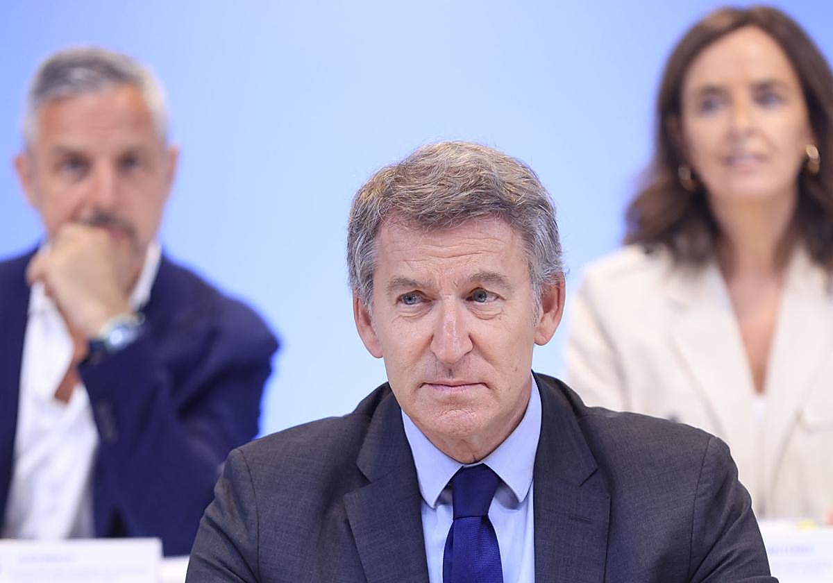 Alberto Núñez Feijóo, presidente del PP, durante la reunión del Comité Ejecutivo Nacional