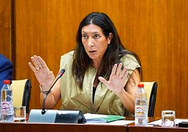 La consejera Loles López se aleja de Vox: «No todos los inmigrantes son delincuentes»