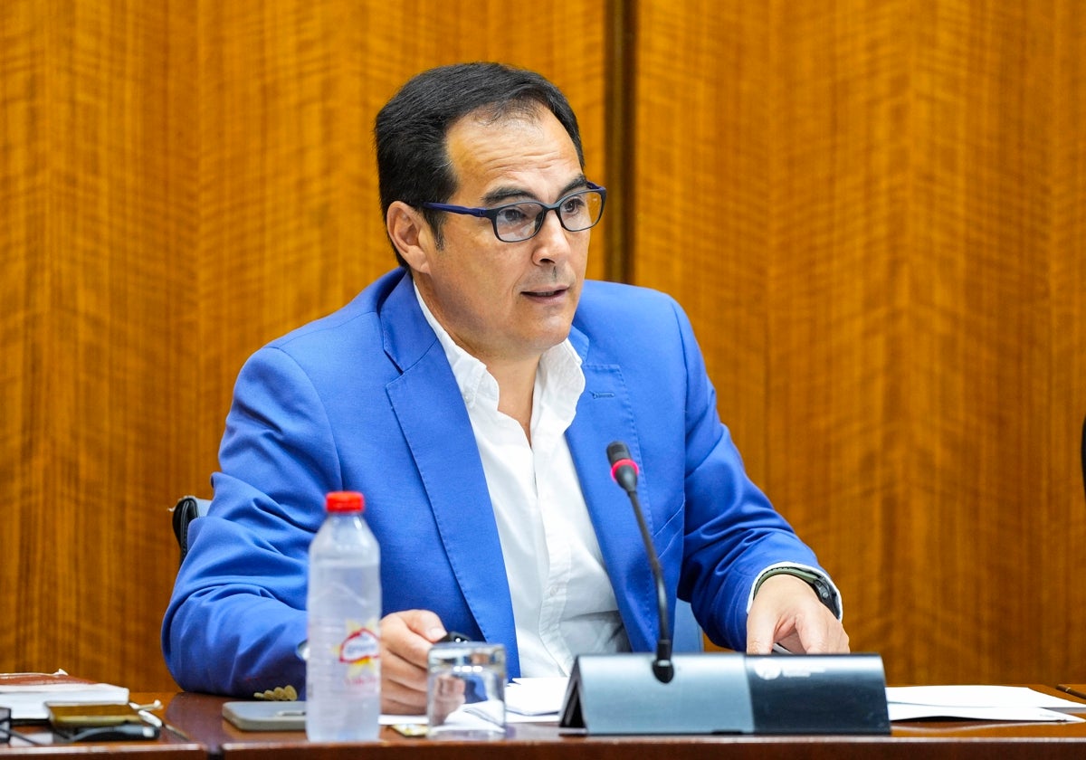 El consejero de Justicia, Administración Local y Función Pública, José Antonio Nieto, este martes en el Parlamento andaluz