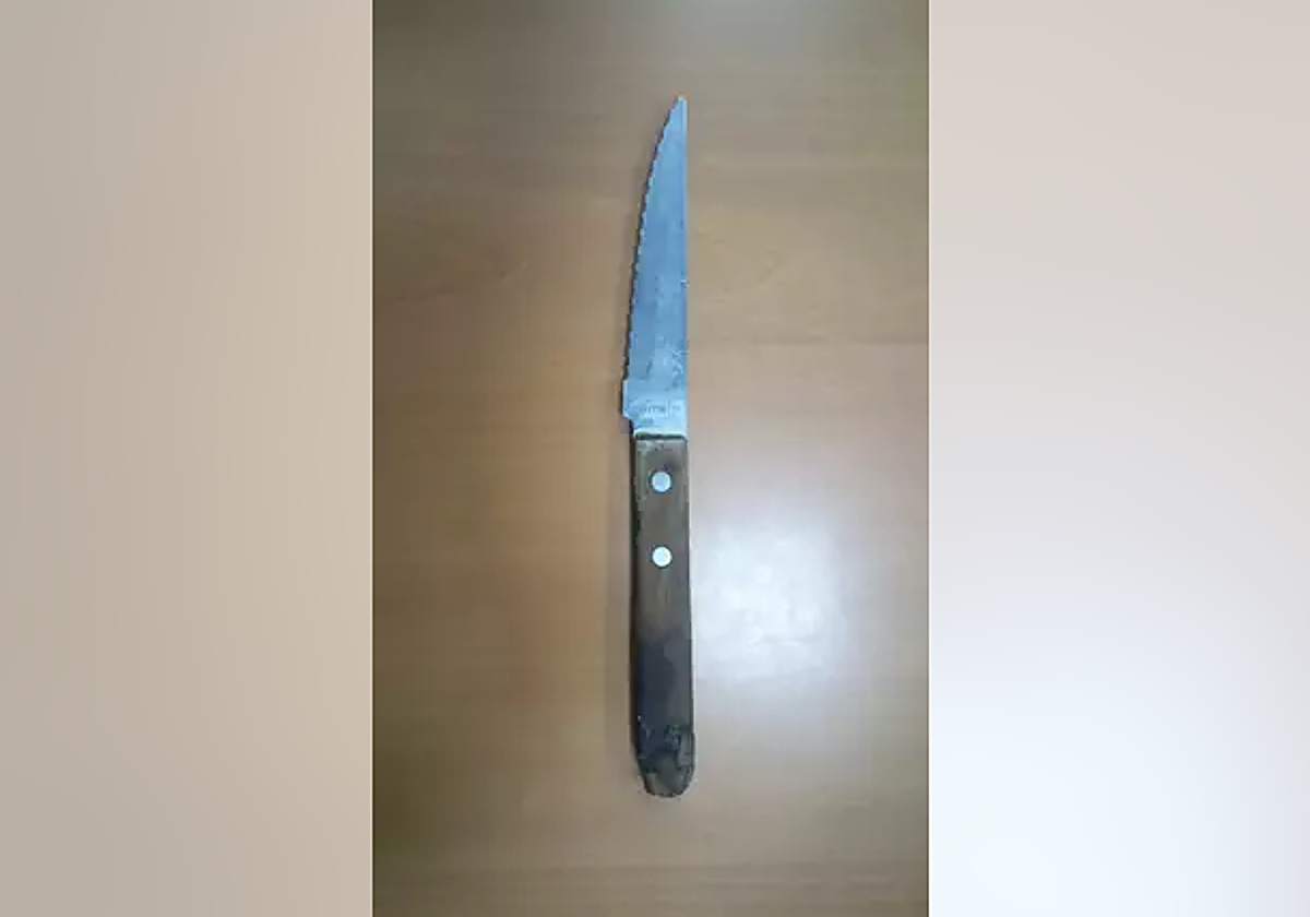 Imagen del cuchillo con el que el joven amenazó a su madre