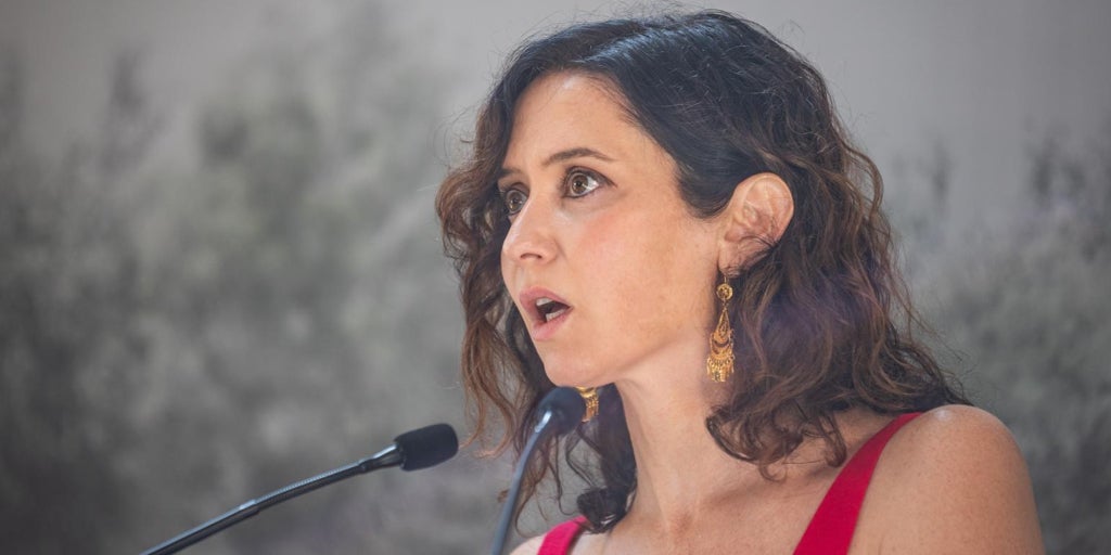 Madrid recurre ante el Tribunal Supremo el reparto «forzoso» de menores no acompañados por el Gobierno
