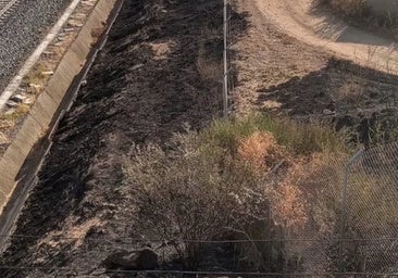 Adif registra 70 episodios de incendios en vías ferroviarias andaluzas y extremeñas en lo que va de año