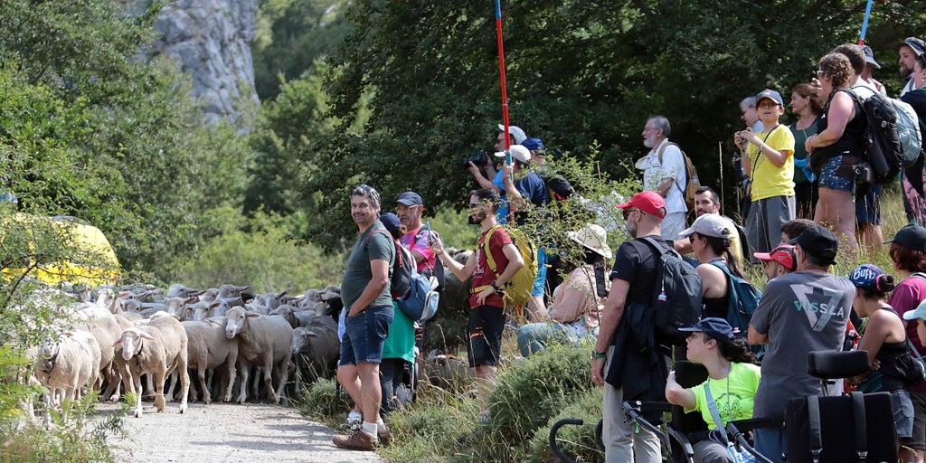 Caminos trashumantes: de rutas tradicionales a atractivo turístico