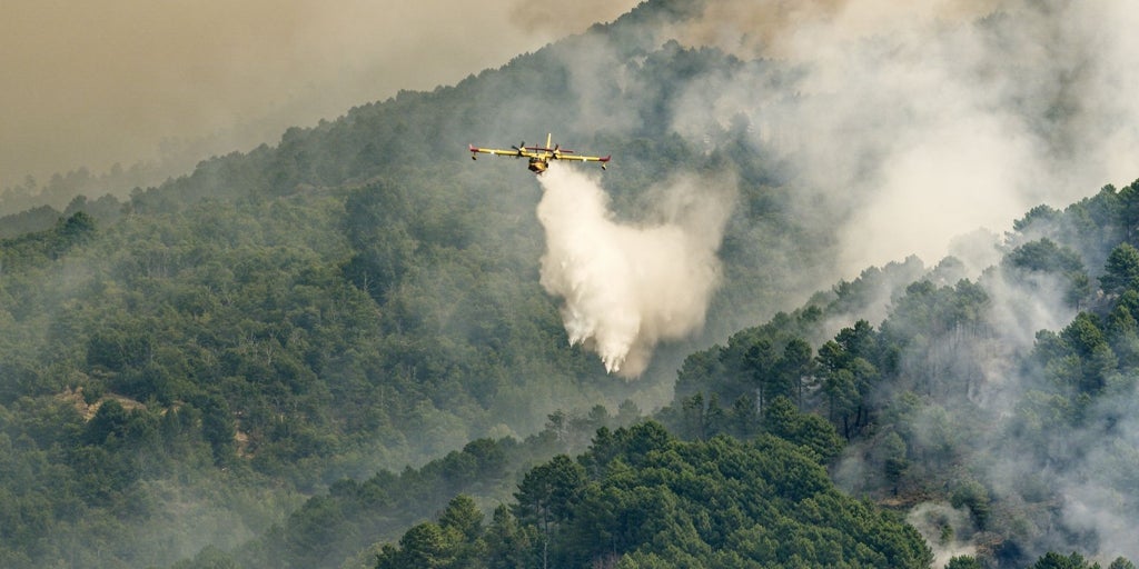 El incendio del Tiétar se encuentra «confinado en un perímetro» y los trabajos se centran en evitar reproducciones