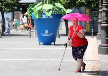 El Ayuntamiento habilita seis refugios climáticos este fin de semana ante la fuerte escalada de las temperaturas
