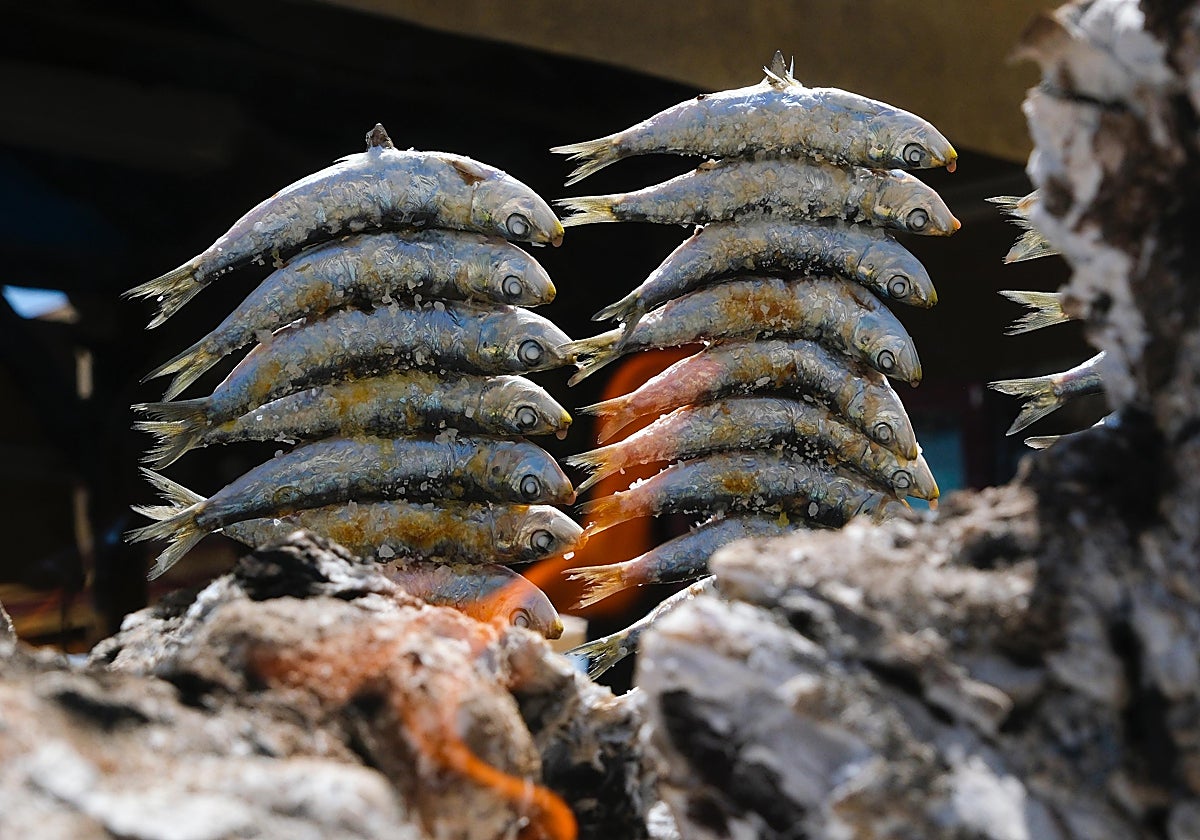 Espetos de sardinas alineados sobre la brasa, en plena cocción con llama viva, al estilo tradicional malagueño
