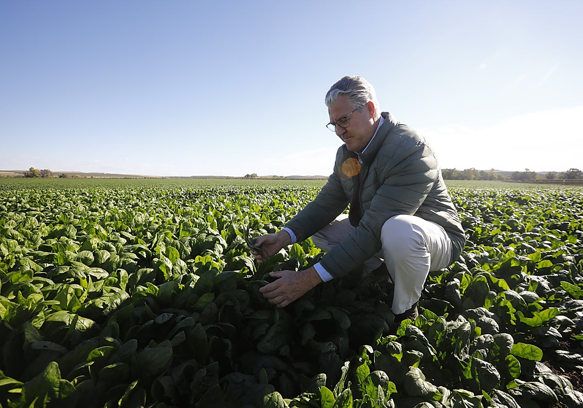 El gerente del Cortijo la Reina José María Cabrera