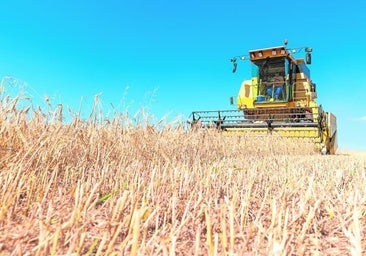 Un total de 257 agricultores y ganaderos de Castilla-La Mancha reciben 1,66 millones de la reserva nacional de la PAC