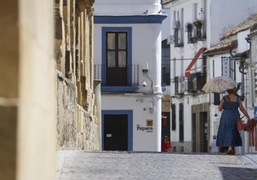 Andalucía registra 134 muertes por calor hasta julio, el doble que en el mismo periodo de 2024
