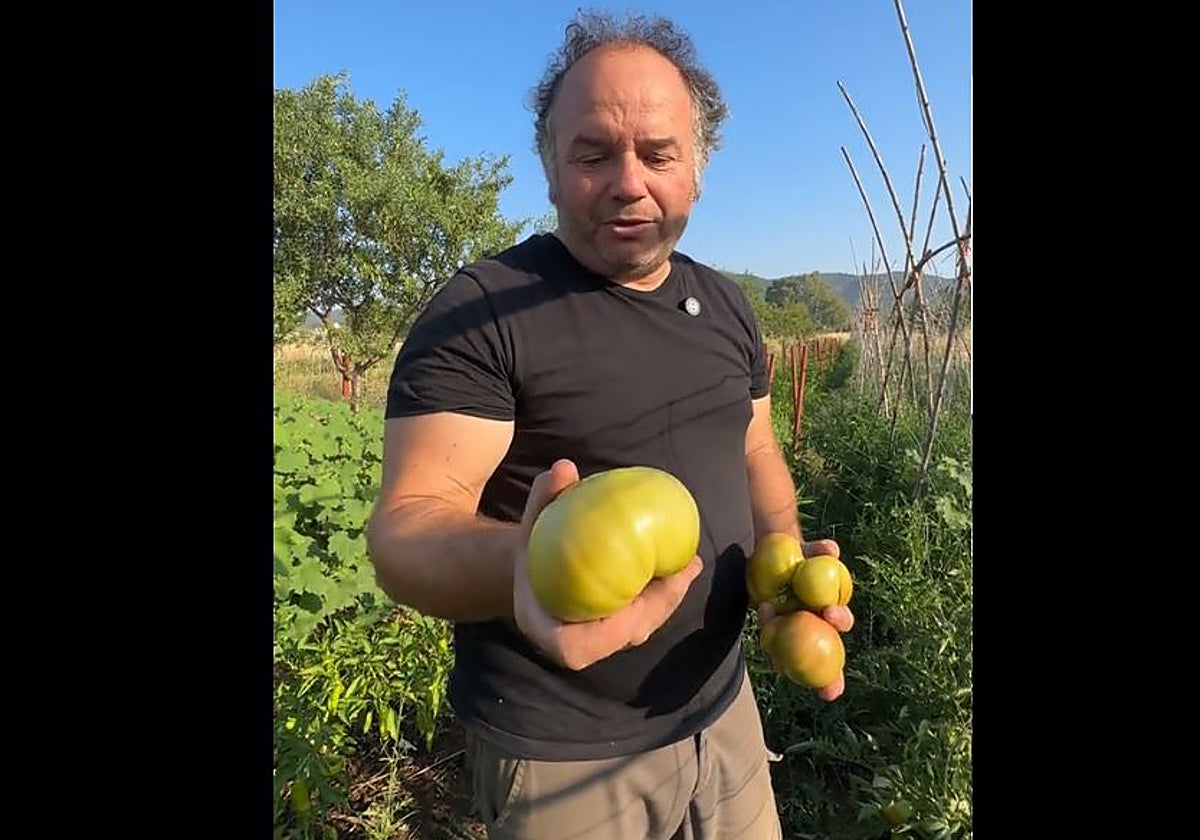 Un agricultor explica por qué no se debe meter el tomate en frío