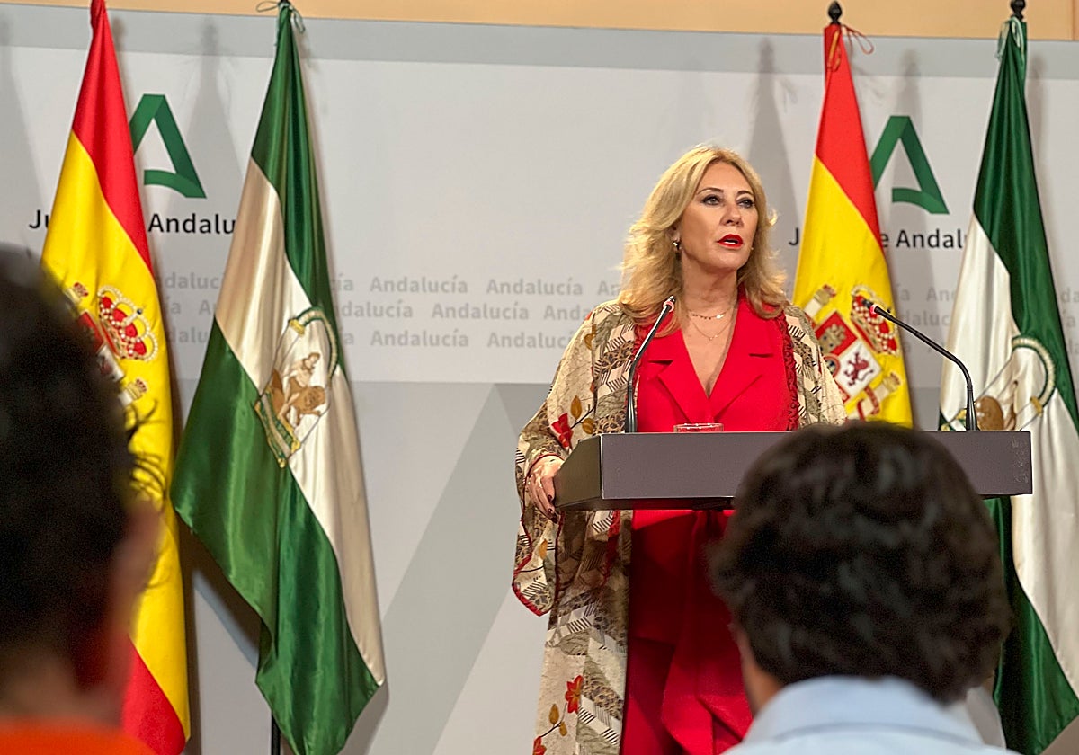 La consejera Carolina España durante una rueda de prensa
