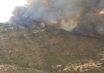 Los cambios de viento complican el control del incendio de Tarifa