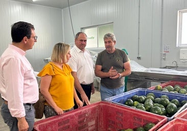 El Gobierno de Castilla-La Mancha lamenta los precios bajos del melón y la sandía aunque valora positivamente la campaña