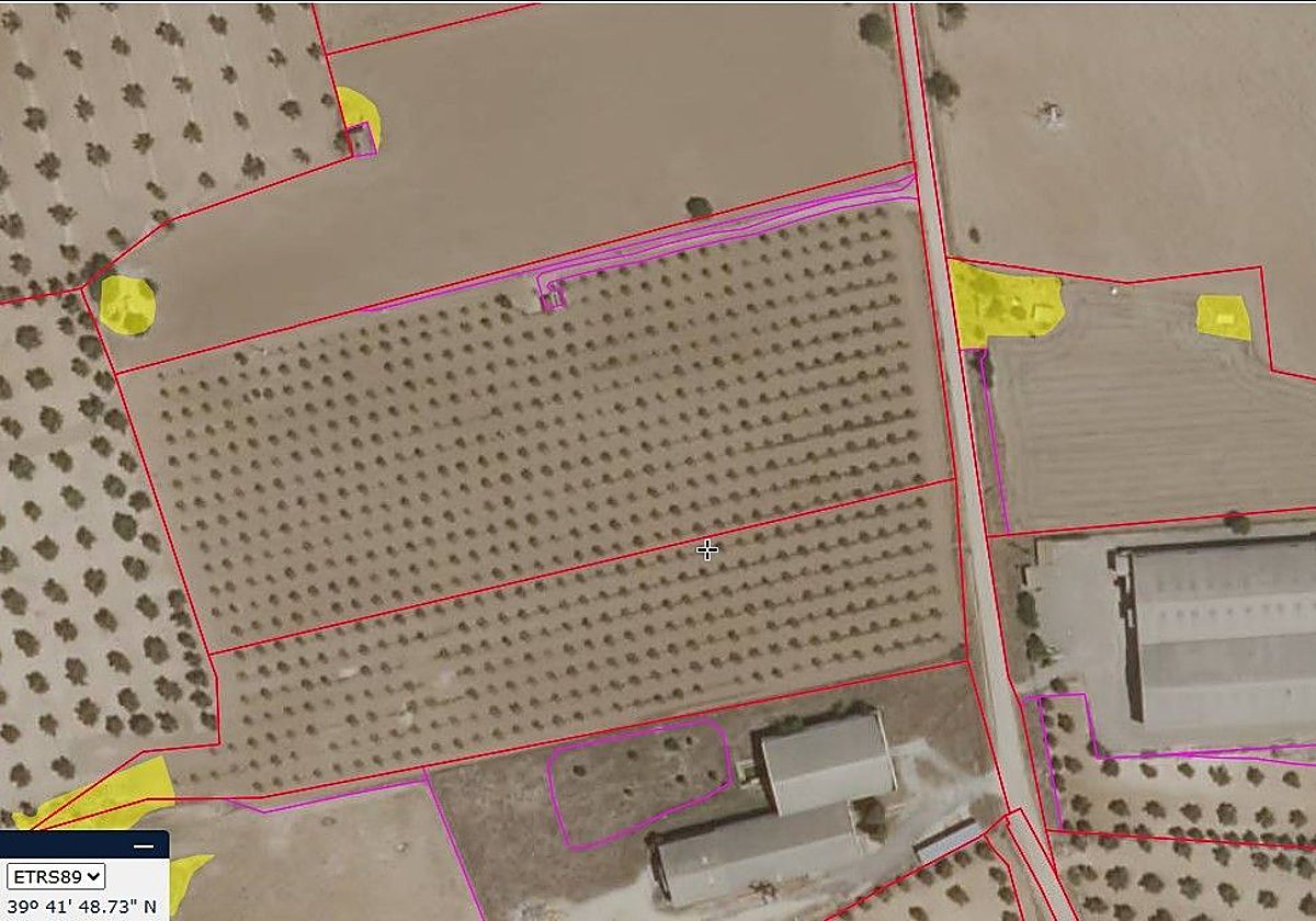 Terrenos afectados por el deslinde de la 'Cañada de las Merinas'