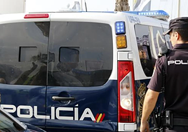 Detenido el agresor de 16 años que intentó violar a una clienta en un hotel del sur de Tenerife