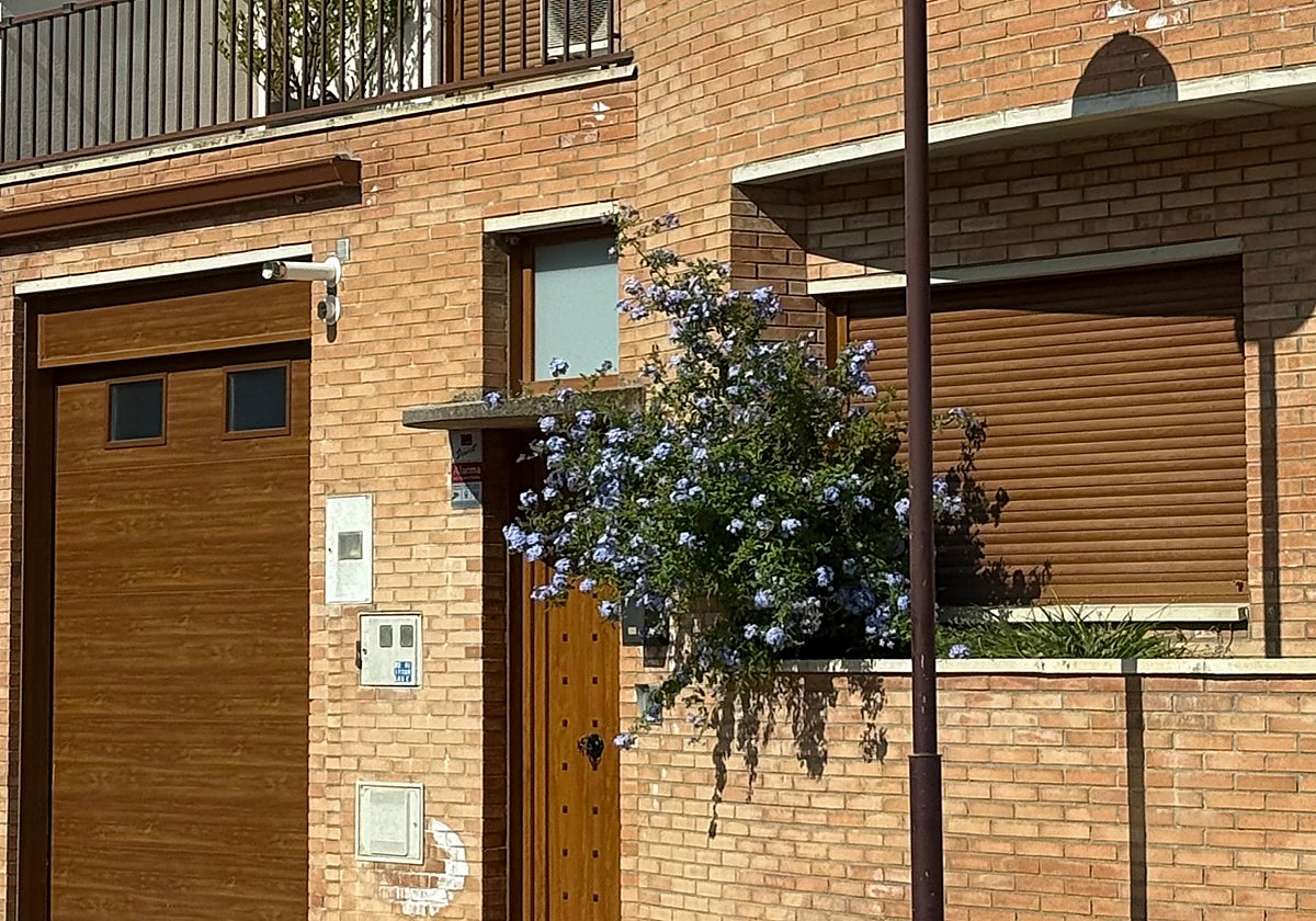 El domicilio familiar de los Cerdán, cerrado a cal y canto