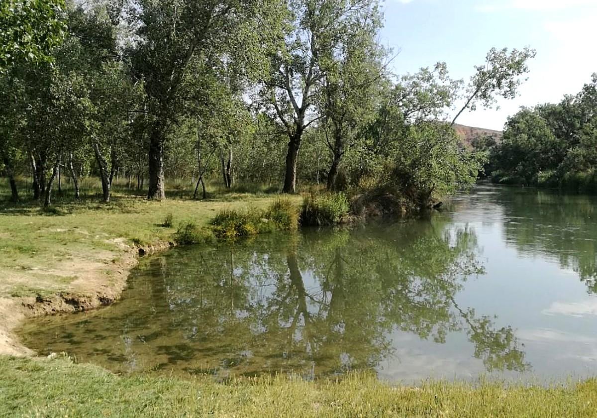 La playa que está a una hora de Madrid y es perfecta para refrescarte durante la ola de calor: dónde está y cómo llegar