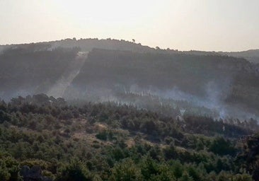 Controlado el incendio forestal desatado en Los Navalucillos, Toledo