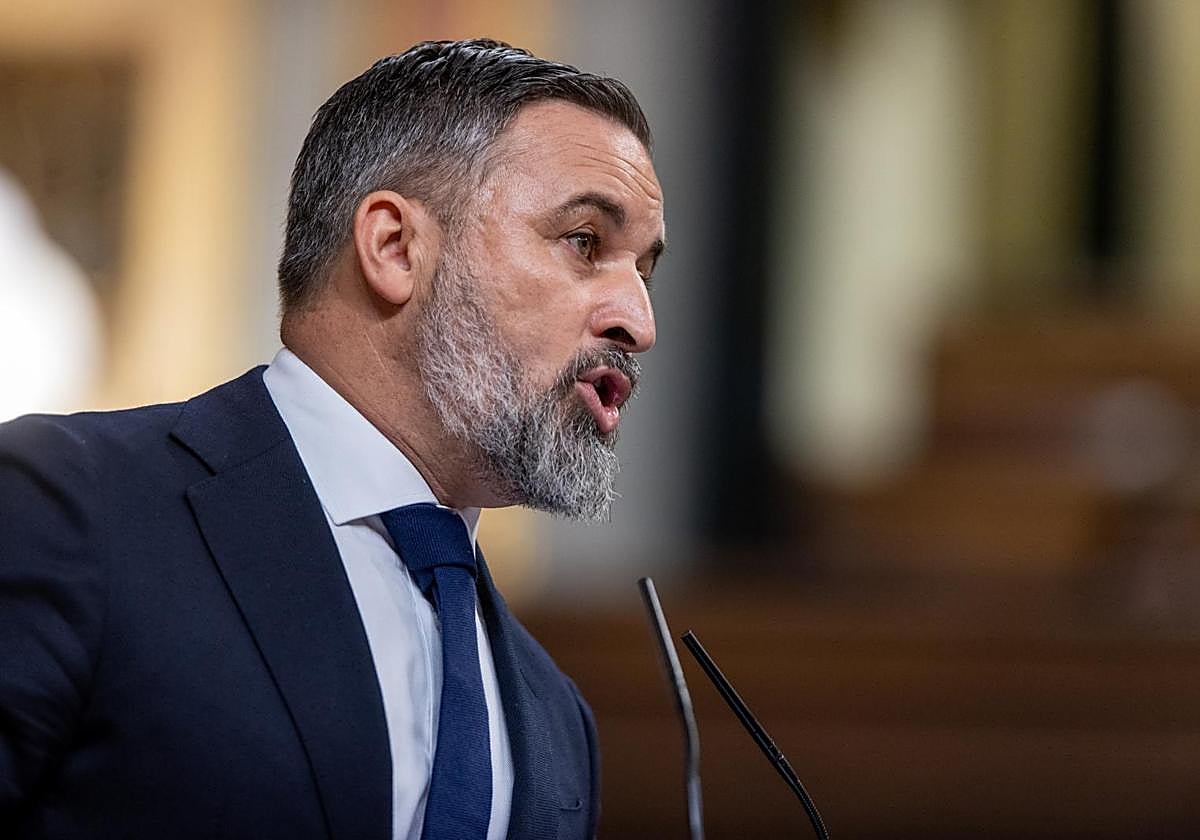 Abascal, durante una de sus intervenciones en el Congreso de los Diputados