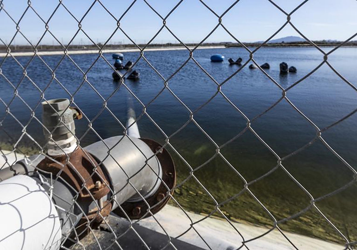 Un embalse en la Vega Baja del Segura, en una zona regada por el trasvase