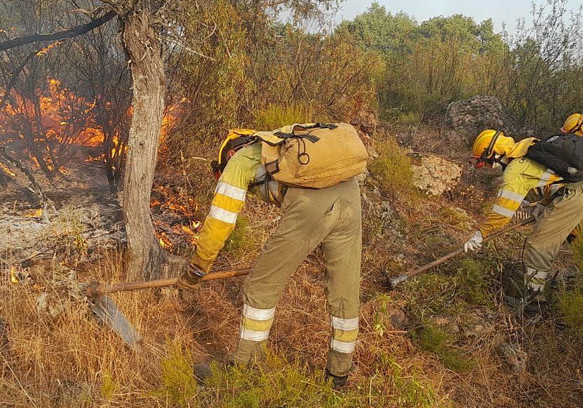 Las brigadas trabajan en Las Navas del Marqués