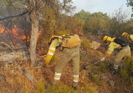 El incendio de Ávila, a raya tras un día de lucha contra «reproducciones continuas»
