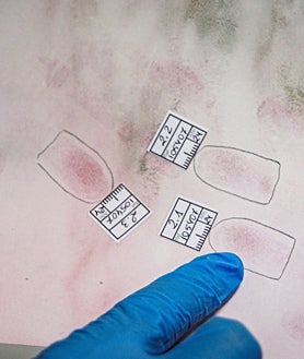 Imagen secundaria 2 - Arriba, Laura, policía y bióloga, aplica una luz especial para revelar vestigios. Abajo, a la izquierda, proceso de ósmosis para recuperar la huella del dedo de un fallecido. A la derecha, comparación de varias huellas dactilares 