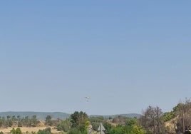 Activado el nivel 2 del Plan Especial de Protección Civil en Navarra por el incendio forestal entre Carcastillo y Figarol