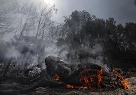 Bomberos y agricultores tratan de «anclar» el incendio en Carcastillo (Navarra), que se inició por la «acción humana»