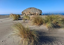 Cabo de Gata en Almería, ante el reto del crecimiento turístico sin perder su esencia de parque natural