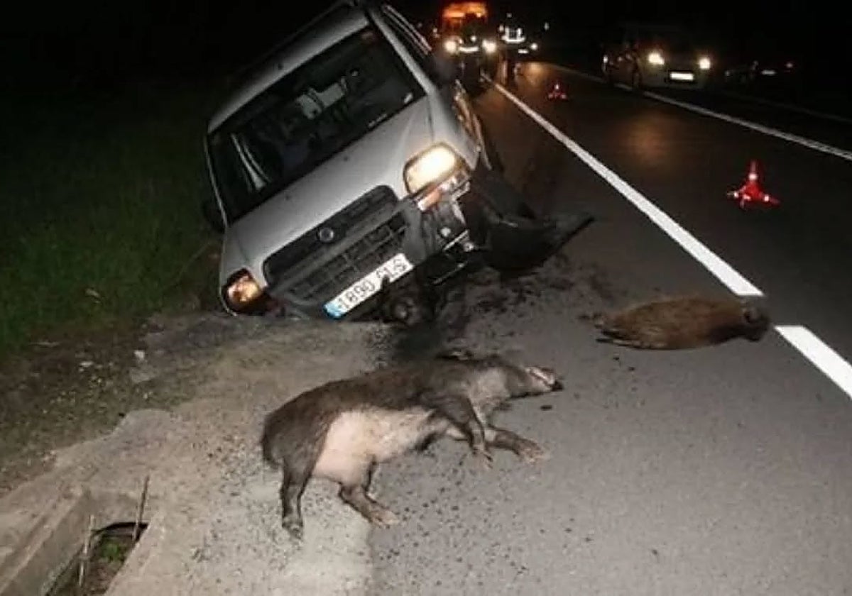 Imagen de un accidente de tráfico con jabalíes difundida en julio por la Federación de Caza de la Comunidad Valenciana
