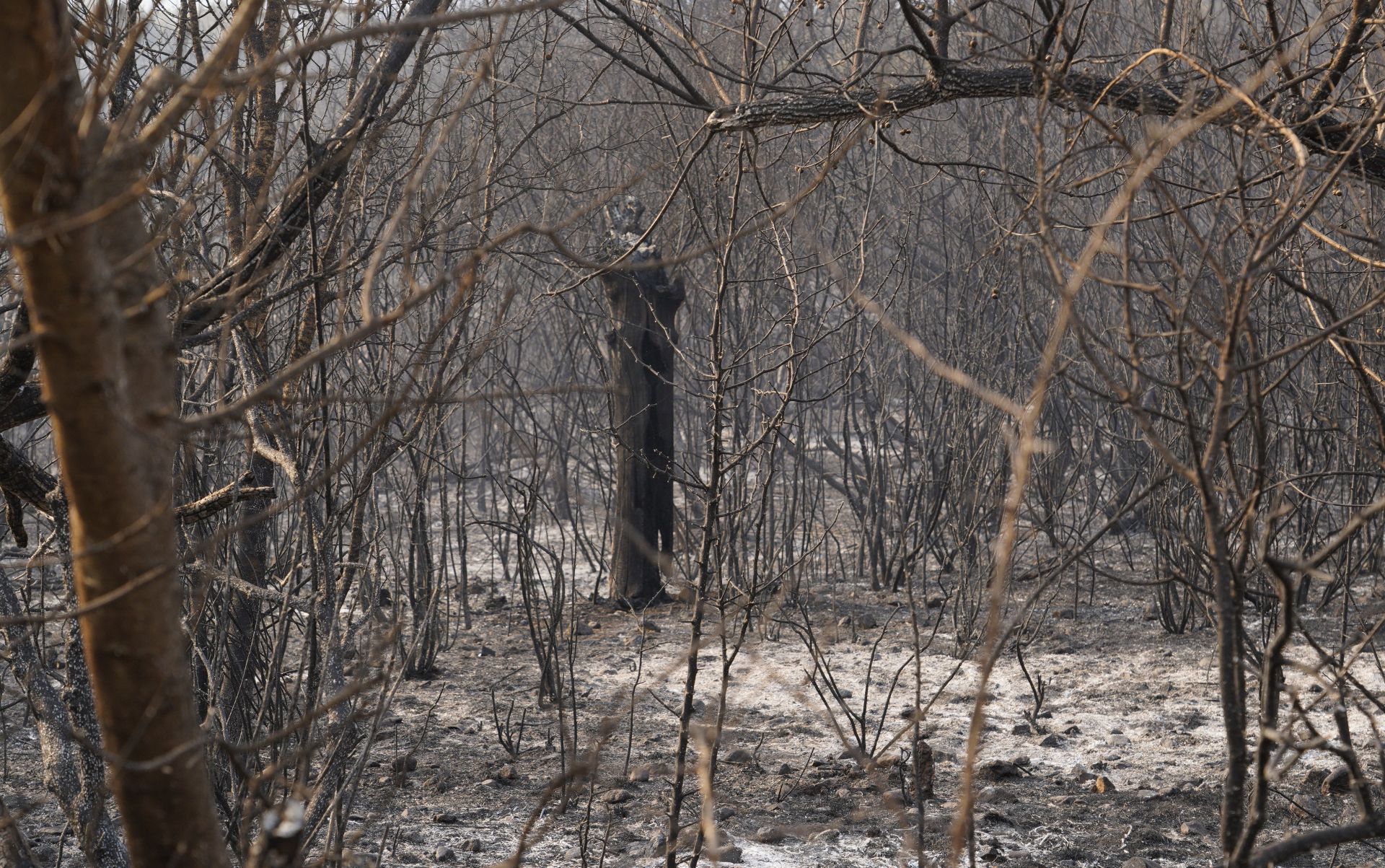El fuego tiñe de negro Las Médulas: las impactantes imágenes de la tragedia