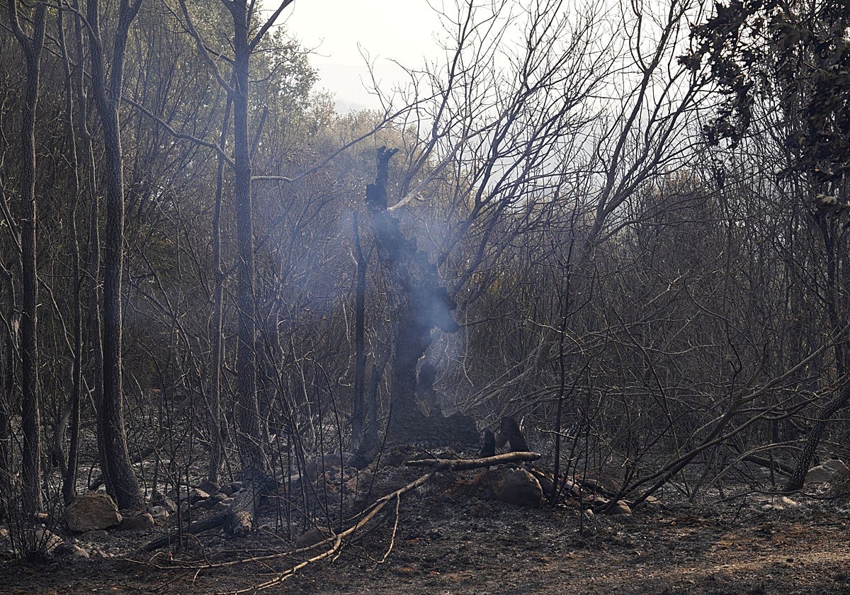 Incendio en Las Médulas (León)