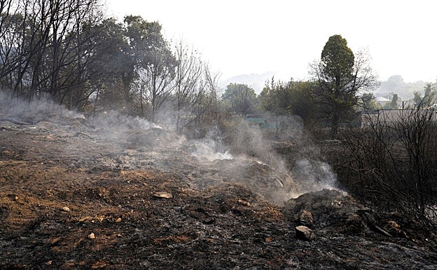 Castaños centenarios, acebos, cerezos salvajes, robles, encinas... El «espectacular» paisaje natural arrasado en Las Médulas