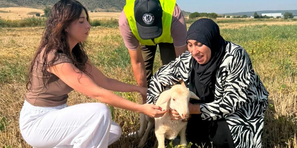 Castilla-La Mancha destina más de seis millones en ayudas para bienestar animal
