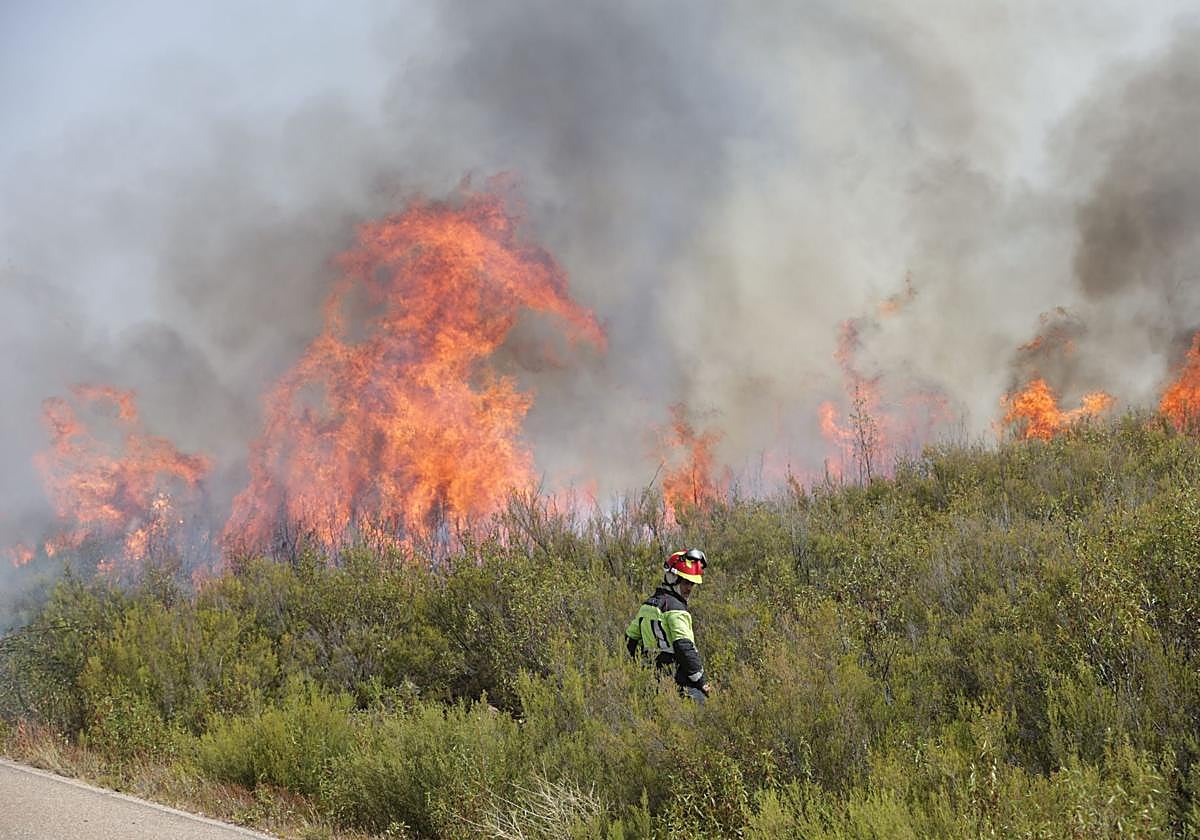 Incendio en la localidad de Puercas (Zamora)