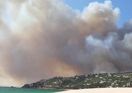 Desalojan a 2.000 personas  por el incendio de Zahara: «Salid por la playa, la carretera está colapsada»