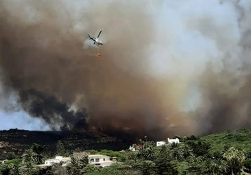 Incendio en las urbanizaciones de Zahara de los Atunes